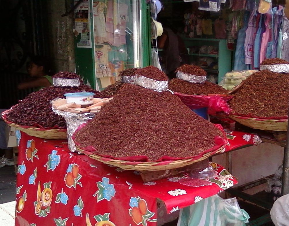 Kopce czerwonych, prażonych chapulines w koszykach na straganie w Oaxace w Meksyku