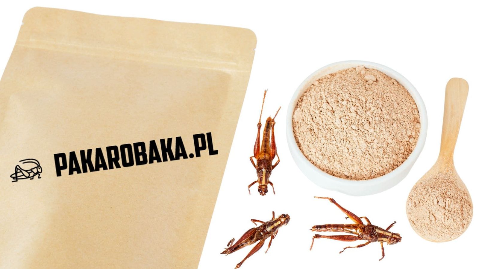 Torba z papieru z napisem PAKAROBAKA.PL, miska mąki ze świerszczy, drewniana miarka i suszone świerszcze