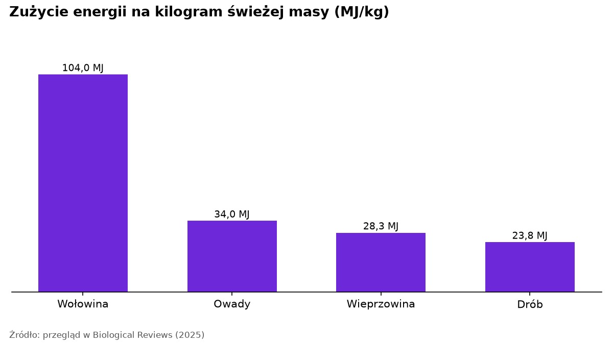 Wykres słupkowy zużycia energii: wołowina 104 MJ/kg, owady 34 MJ/kg, wieprzowina 28,3 MJ/kg, drób 23,8 MJ/kg.