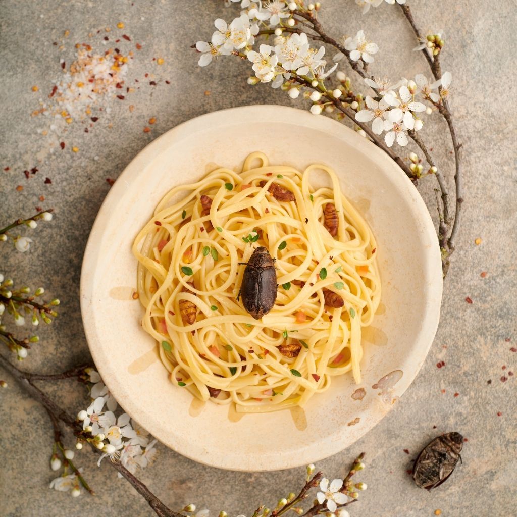 Talerz spaghetti z suszonym świerszczem ułożonym na wierzchu