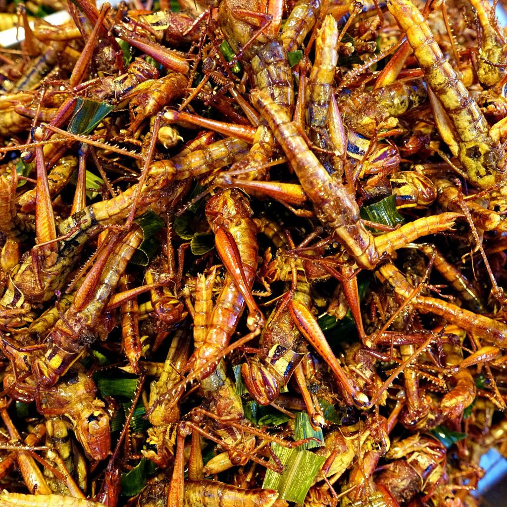 Stos smażonej szarańczy z czerwonymi papryczkami chili